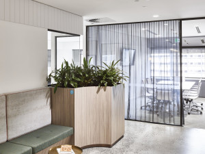 215-Adelaide-Street-Office-for-Lease-1145-20ee10e4-bb43-4694-b412-8e37df392dbc_215AdelaideSt_b-min