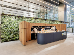 100-Mount-Street-Office-for-Lease-8738-a1c14bca-e14a-4957-b896-f7b32c0e143c_100MountStNthSydMay310051