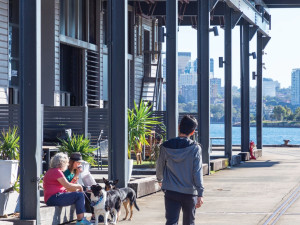 26-32-Pirrama-Road-Office-for-Expressions-of-Interest-8979-taodfjtmypljifavgjw4_MarkUps3