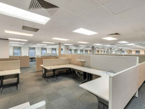 44-Pirie-Street-Office-for-Lease-1059-bbc4cf4a-3cad-41ce-a03a-392533a7a6f7_g