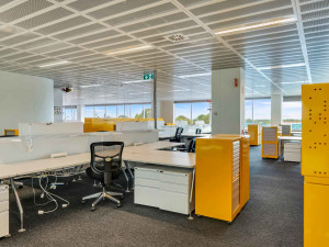 31-33-Richmond-Road-Office-for-Lease-1102-bfb64c25-96cd-4e89-bb5e-b56b4105fdbc_e