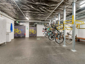 31-33-Richmond-Road-Office-for-Lease-1102-b3d7bd64-f5b8-4077-9f88-1008eafe628e_i