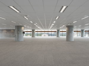 32-Smith-Street-Office-for-Lease-6319-f6253fa4-a2d0-42b7-b1e5-a8dfbe814eda_WEBRES-38